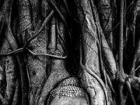 2015-04-10-0112 web 240 Thailand Ayuttaya